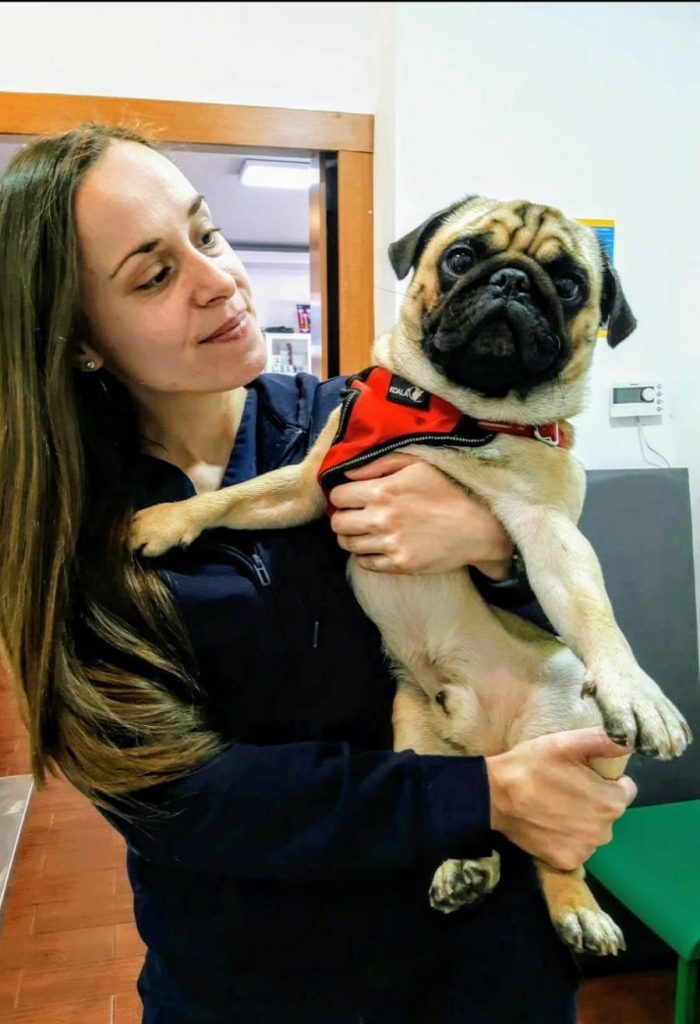 Cardiologie Veterinara Consult Cardiologic Veterinar in Bucuresti